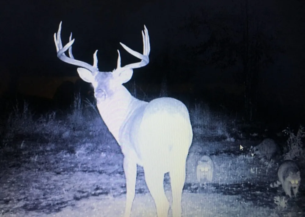 E 1931 RD Antlers, OK 74523