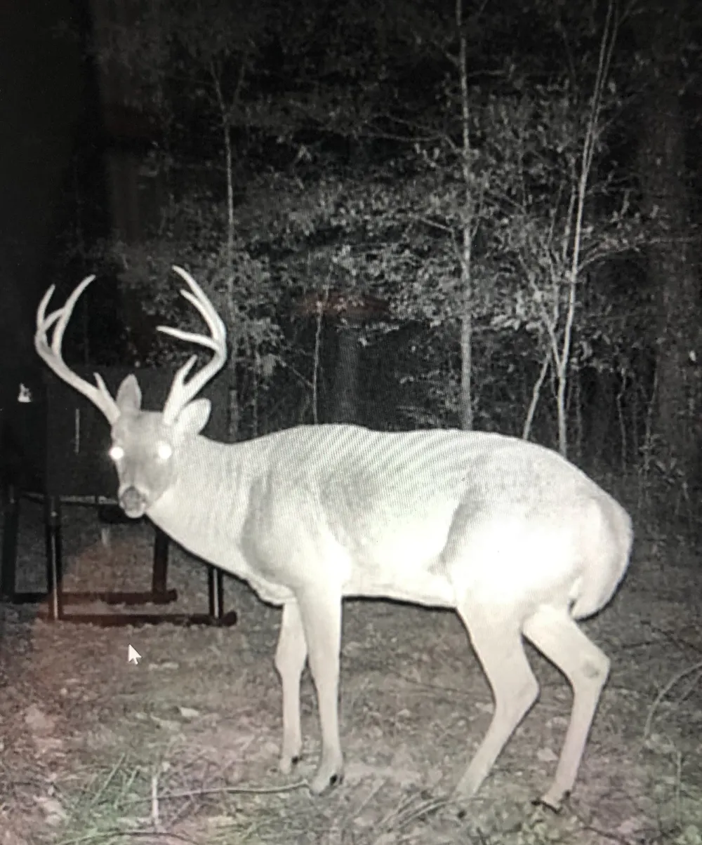 E 1931 RD Antlers, OK 74523