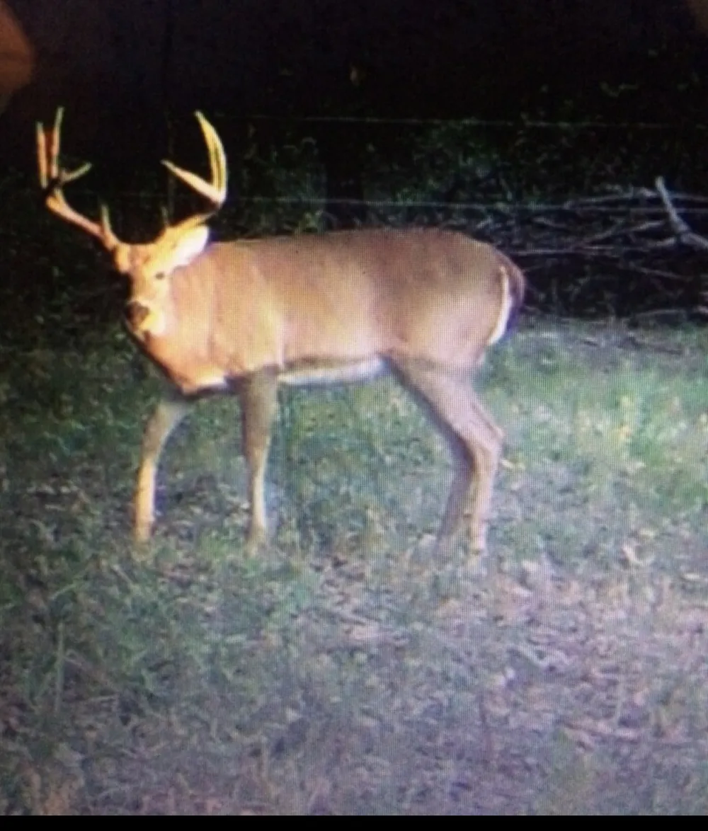 E 1931 RD Antlers, OK 74523