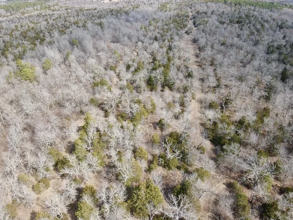 E 1931 RD Antlers, OK 74523