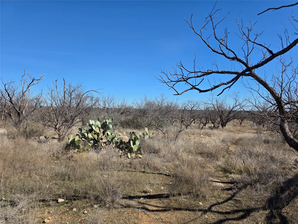 1709 County Road 330 Voss, TX 76888