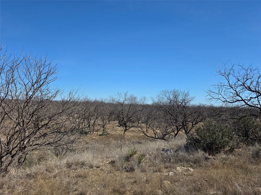 1709 County Road 330 Voss, TX 76888