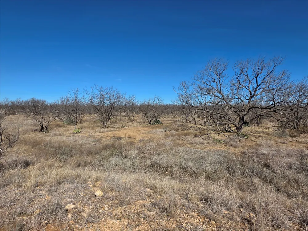 1709 County Road 330 Voss, TX 76888