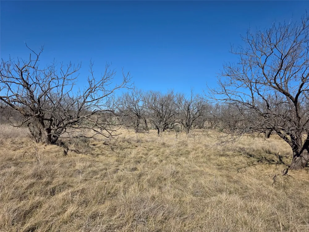 1709 County Road 330 Voss, TX 76888