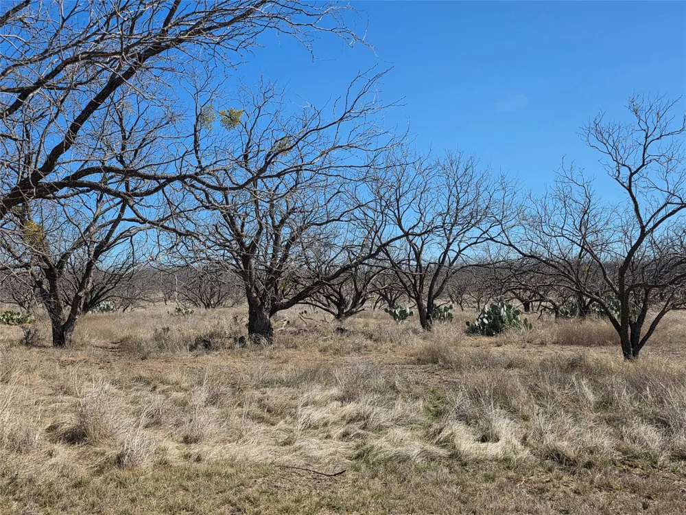1709 County Road 330 Voss, TX 76888
