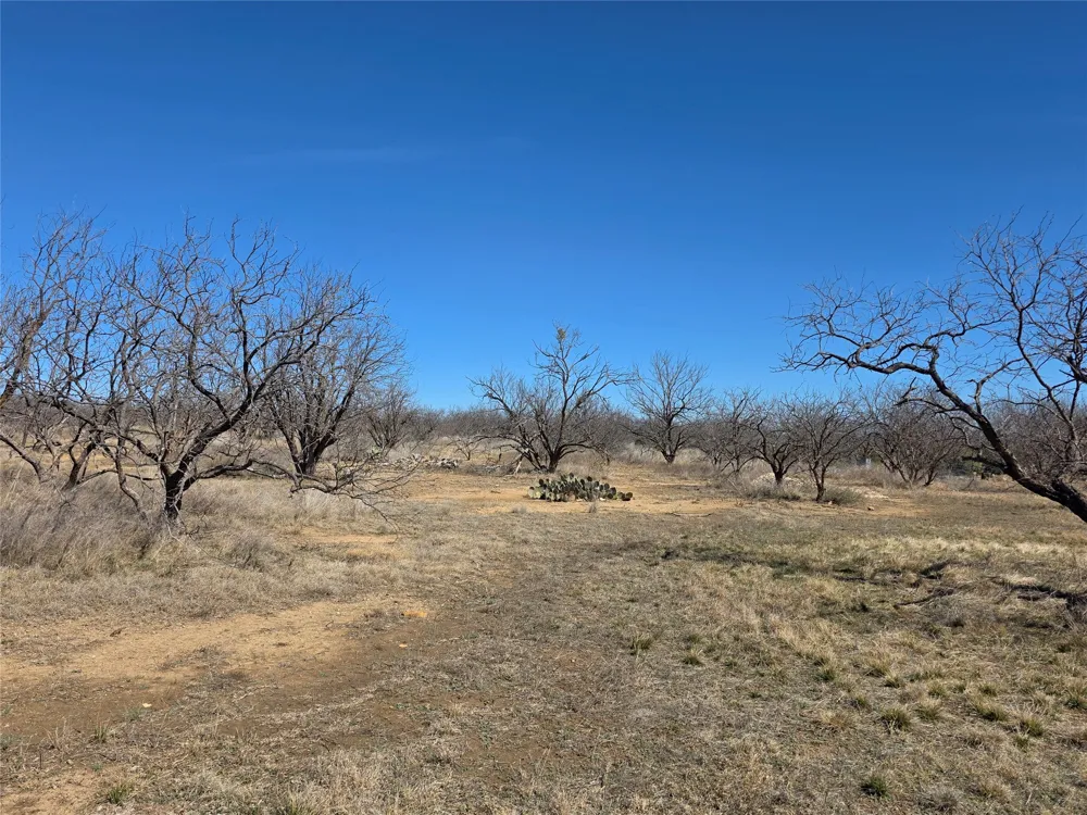 1709 County Road 330 Voss, TX 76888