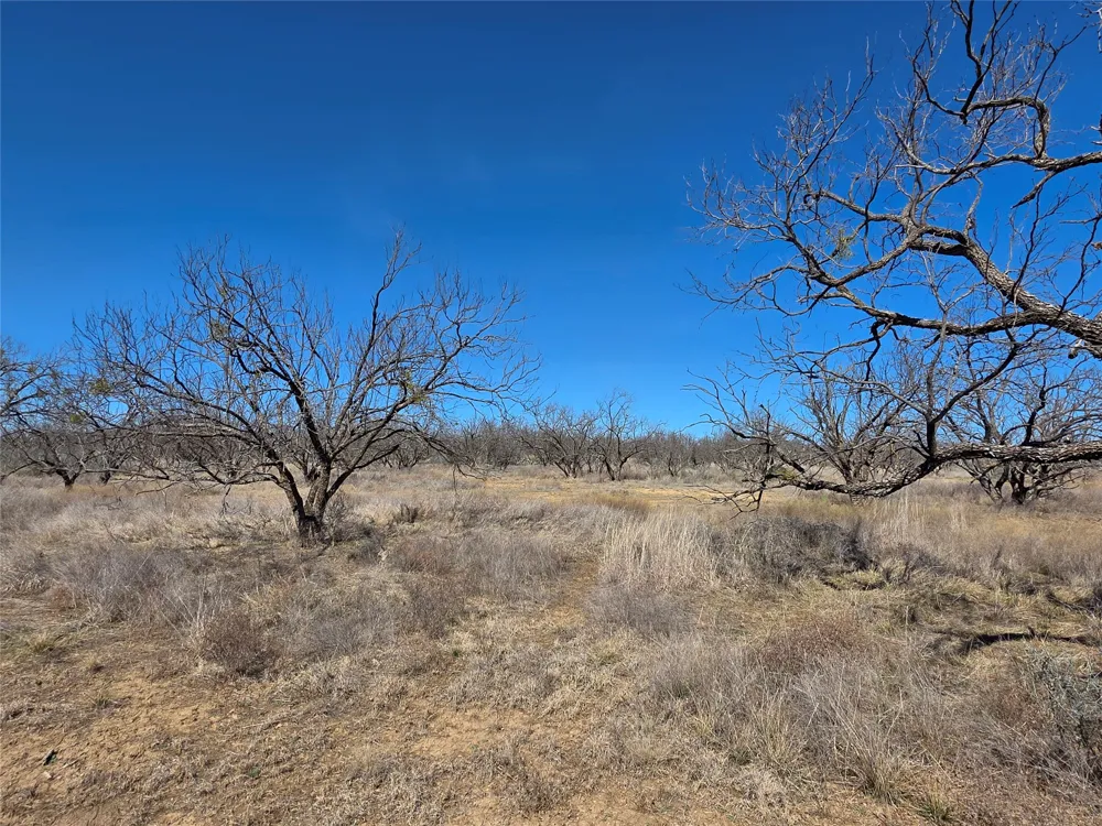 1709 County Road 330 Voss, TX 76888
