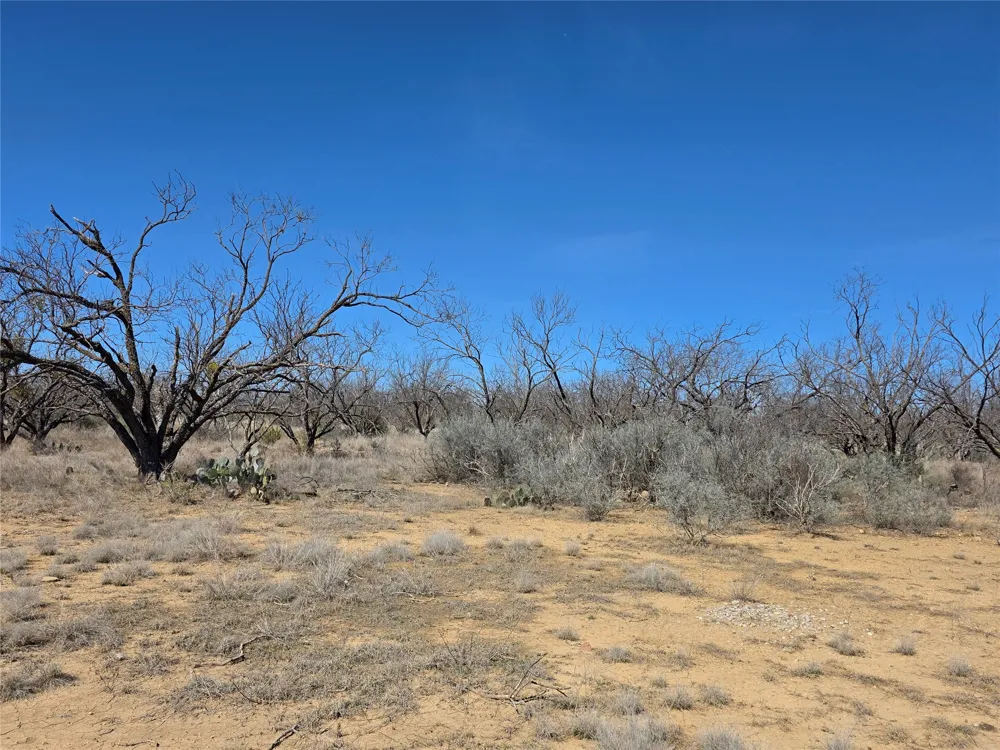 1709 County Road 330 Voss, TX 76888