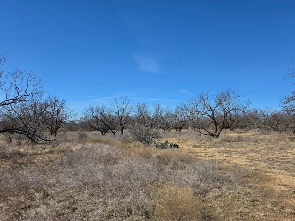 1709 County Road 330 Voss, TX 76888