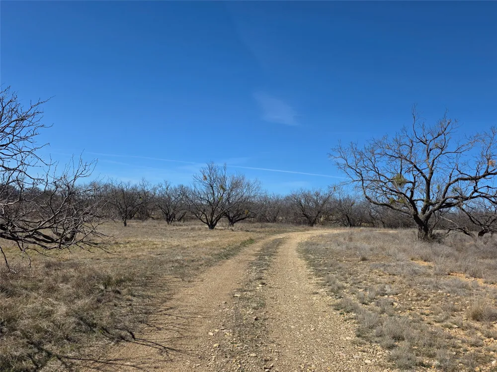 1709 County Road 330 Voss, TX 76888