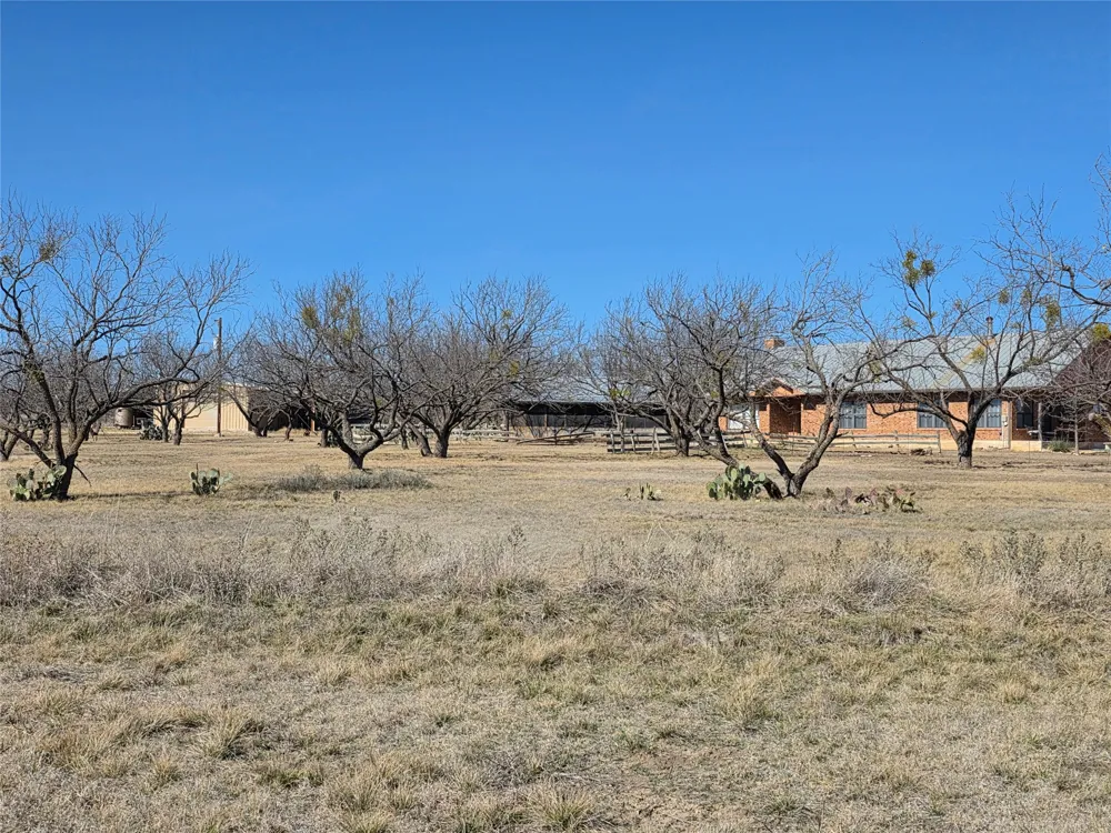 1709 County Road 330 Voss, TX 76888