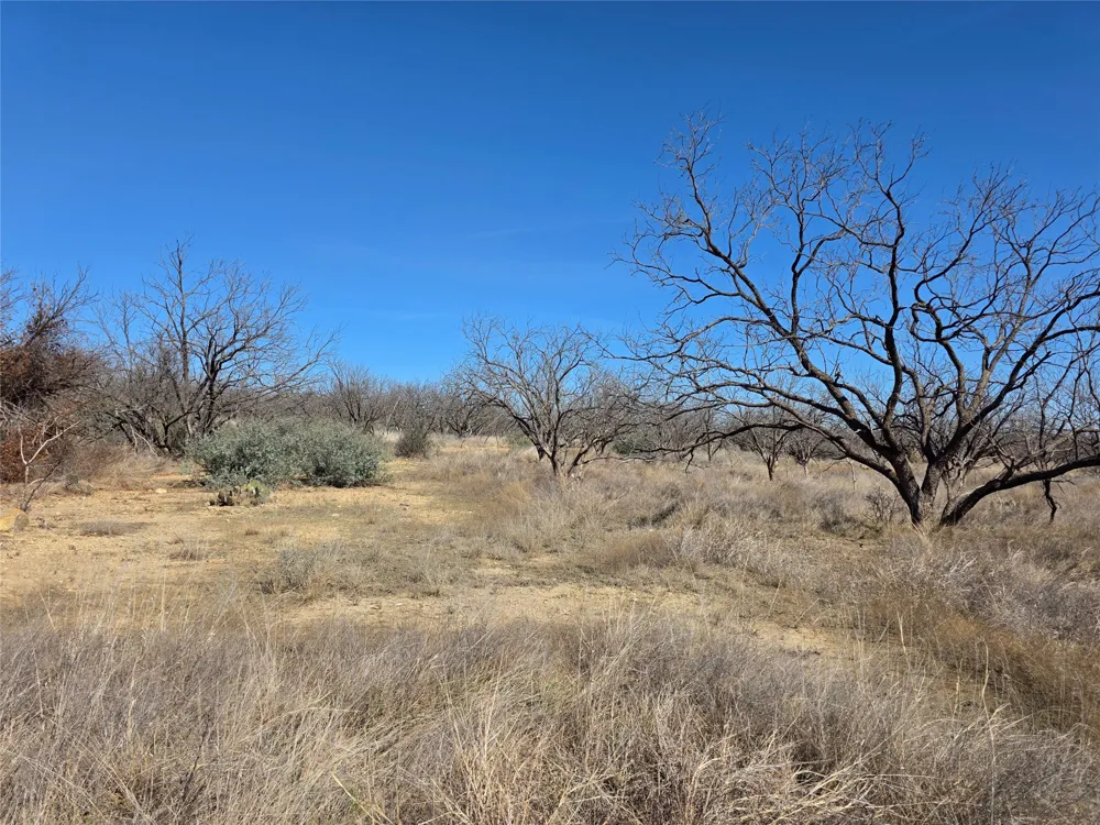 1709 County Road 330 Voss, TX 76888