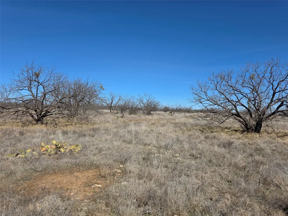 1709 County Road 330 Voss, TX 76888
