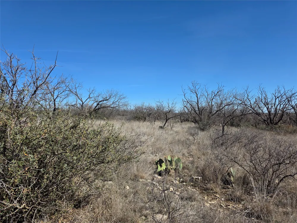 1709 County Road 330 Voss, TX 76888