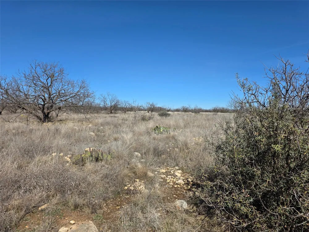 1709 County Road 330 Voss, TX 76888