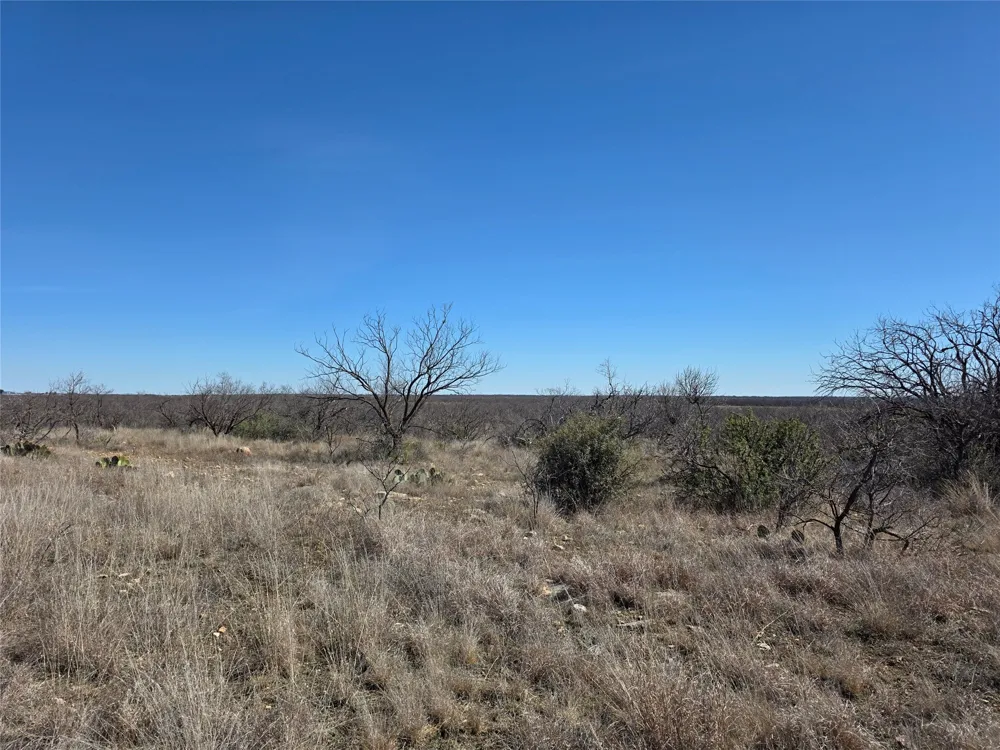1709 County Road 330 Voss, TX 76888
