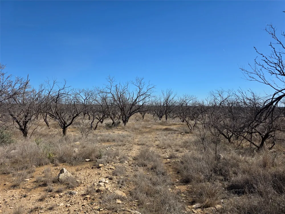 1709 County Road 330 Voss, TX 76888