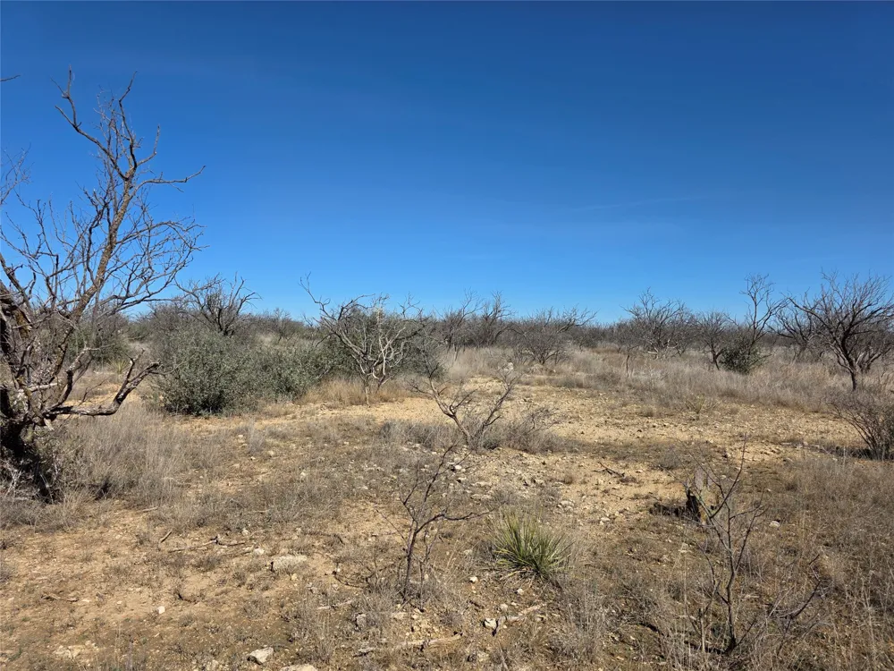 1709 County Road 330 Voss, TX 76888