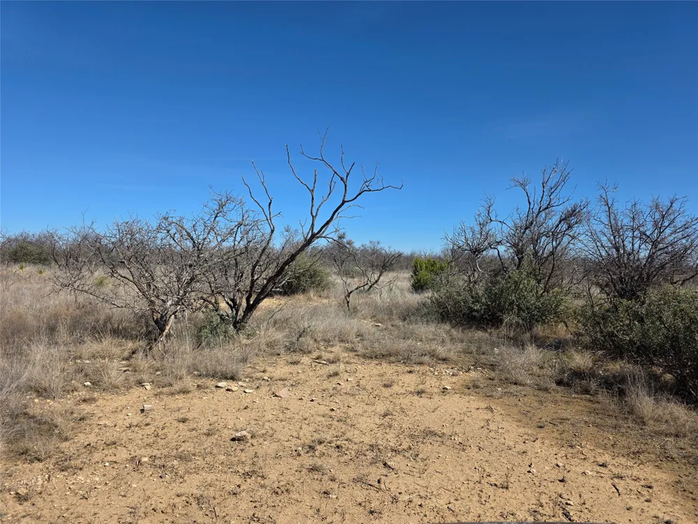 1709 County Road 330 Voss, TX 76888