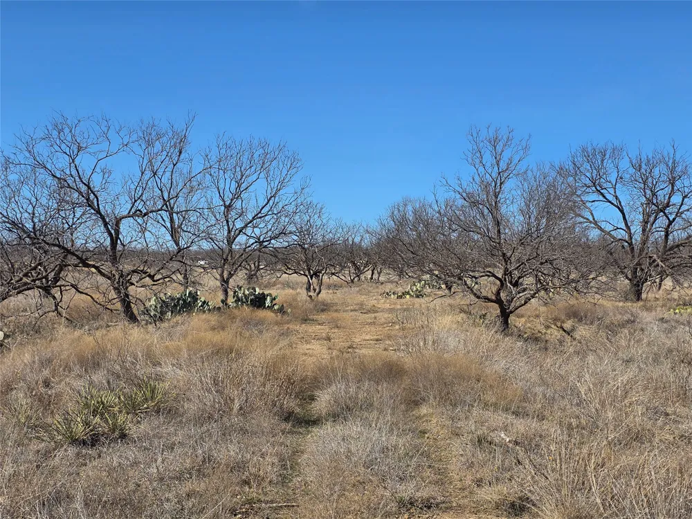 1709 County Road 330 Voss, TX 76888