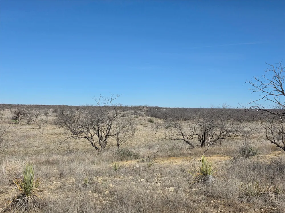 1709 County Road 330 Voss, TX 76888