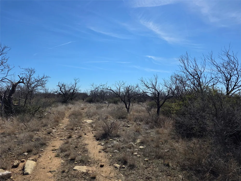 1709 County Road 330 Voss, TX 76888