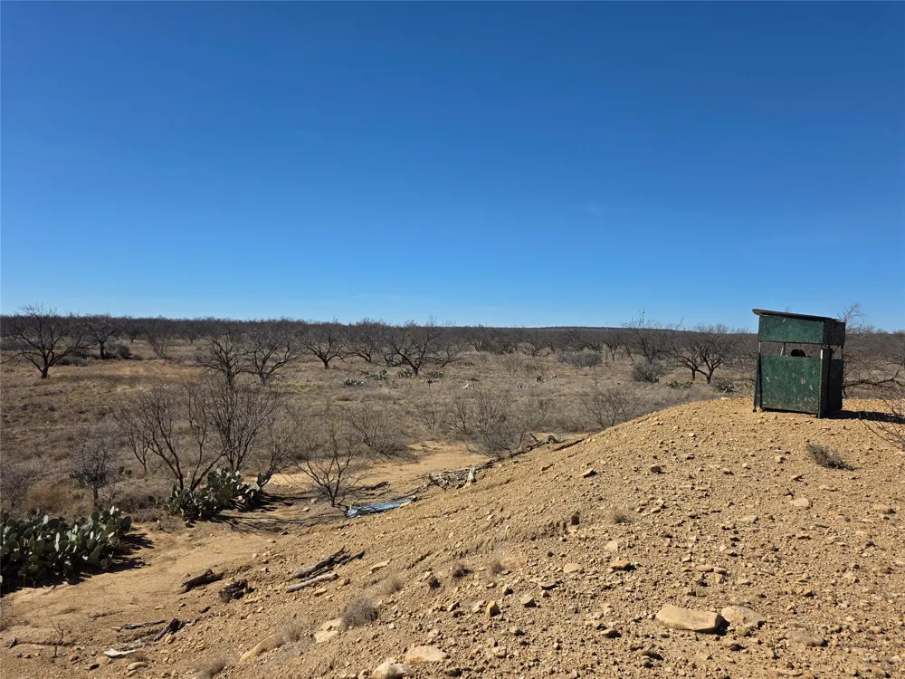 1709 County Road 330 Voss, TX 76888