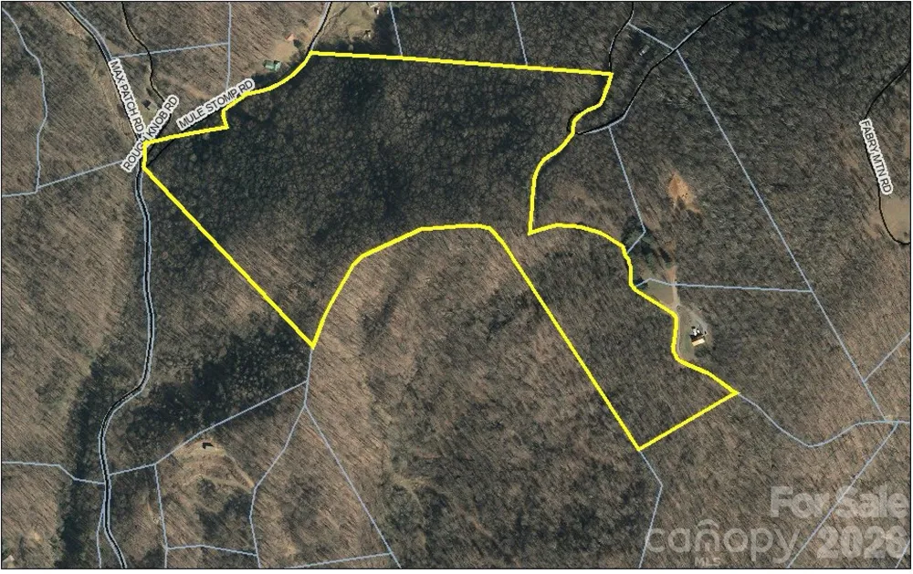 00 Mule Stomp Road Clyde, NC 28721