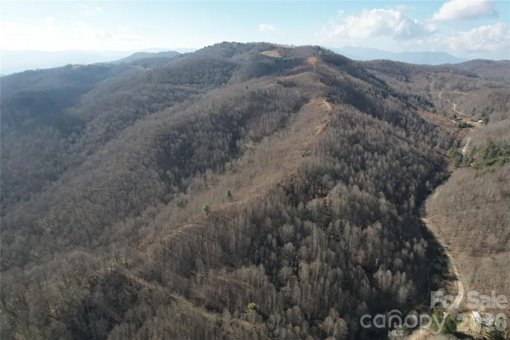 00 Mule Stomp Road Clyde, NC 28721