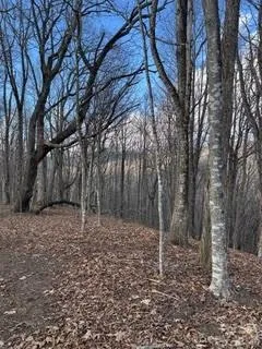 00 Mule Stomp Road Clyde, NC 28721