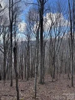 00 Mule Stomp Road Clyde, NC 28721