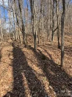 00 Mule Stomp Road Clyde, NC 28721