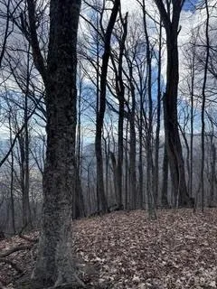 00 Mule Stomp Road Clyde, NC 28721