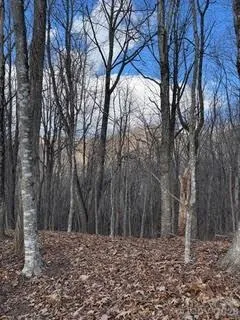 00 Mule Stomp Road Clyde, NC 28721