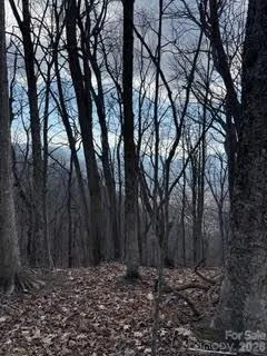 00 Mule Stomp Road Clyde, NC 28721