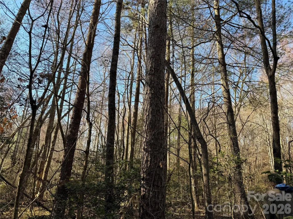 00 Pilgrim Church Road Hiddenite, NC 28636