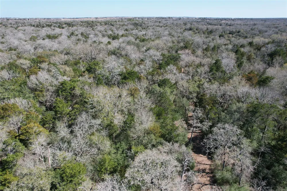2551 Jurecka Road Fayetteville, TX 78940