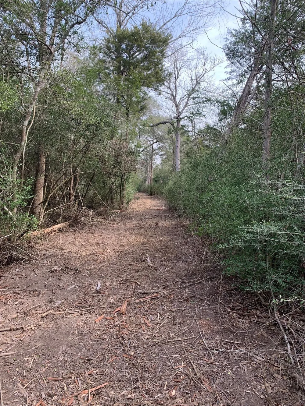 2551 Jurecka Road Fayetteville, TX 78940