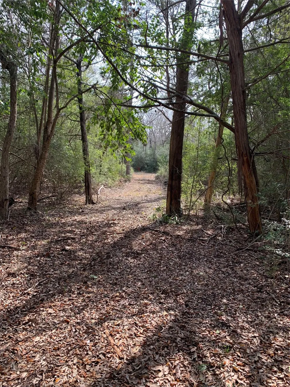 2551 Jurecka Road Fayetteville, TX 78940