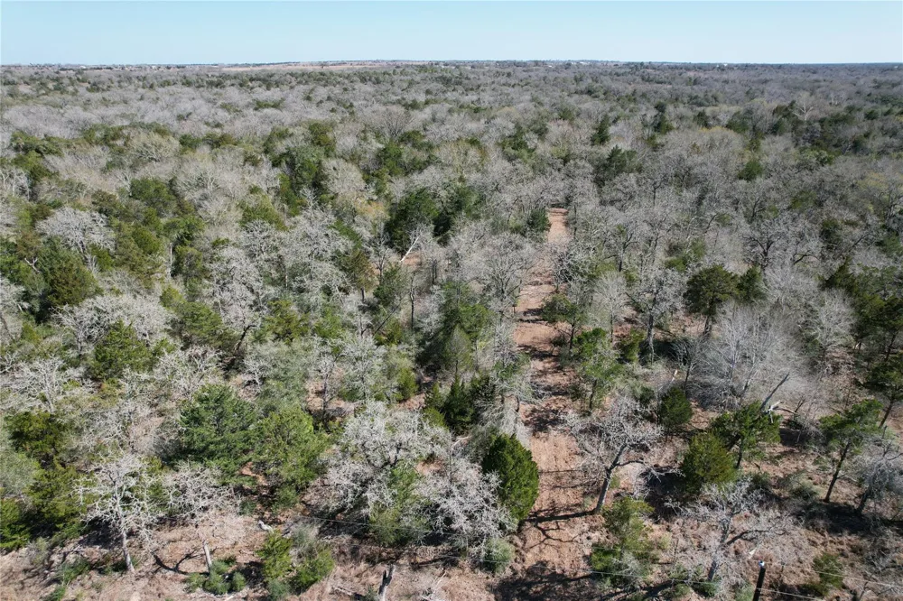 2551 Jurecka Road Fayetteville, TX 78940