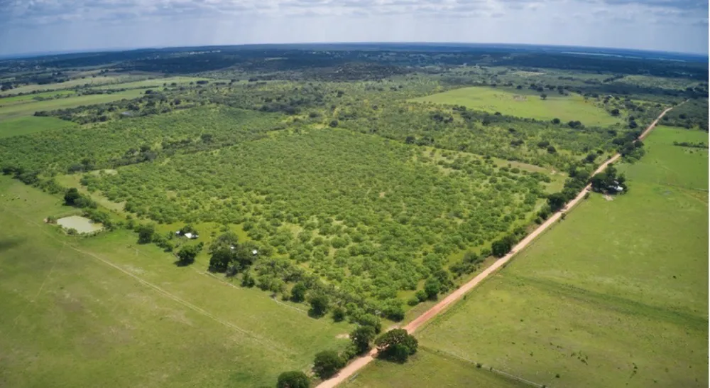 509 Sandy Lane Road Mason, TX 76856
