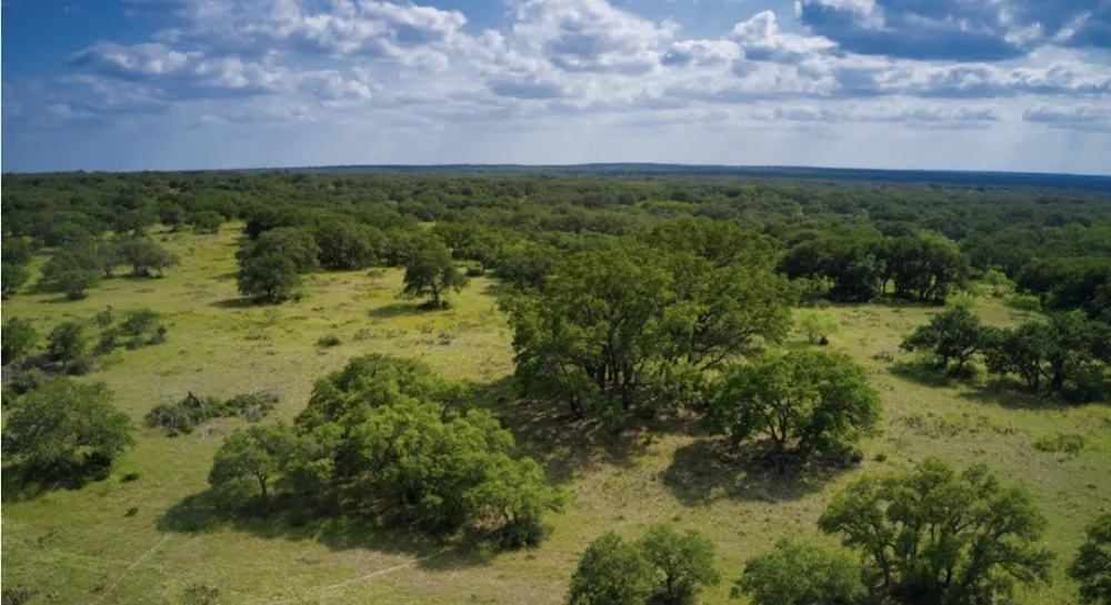 509 Sandy Lane Road Mason, TX 76856