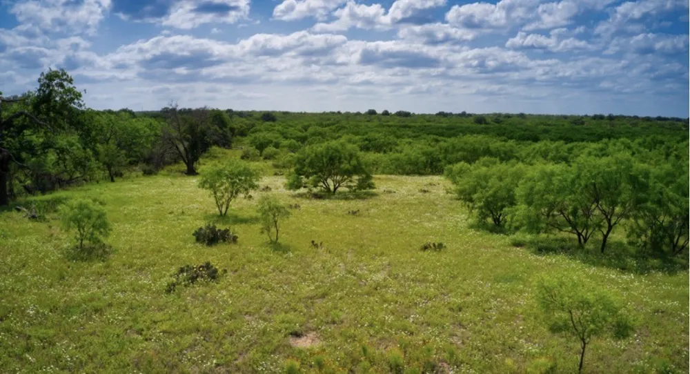 509 Sandy Lane Road Mason, TX 76856