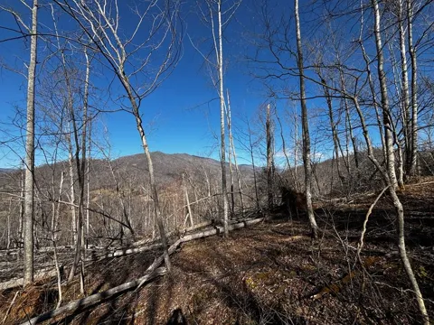 Fawn Road, Bakersville
