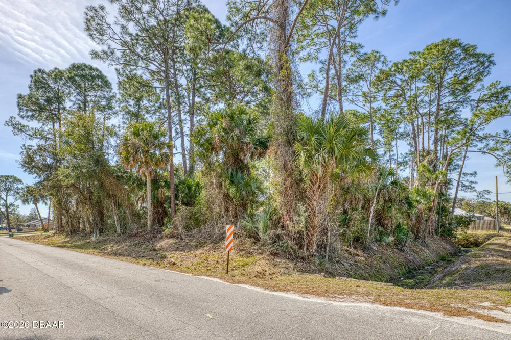 2904 India Palm Drive Edgewater, FL 32141