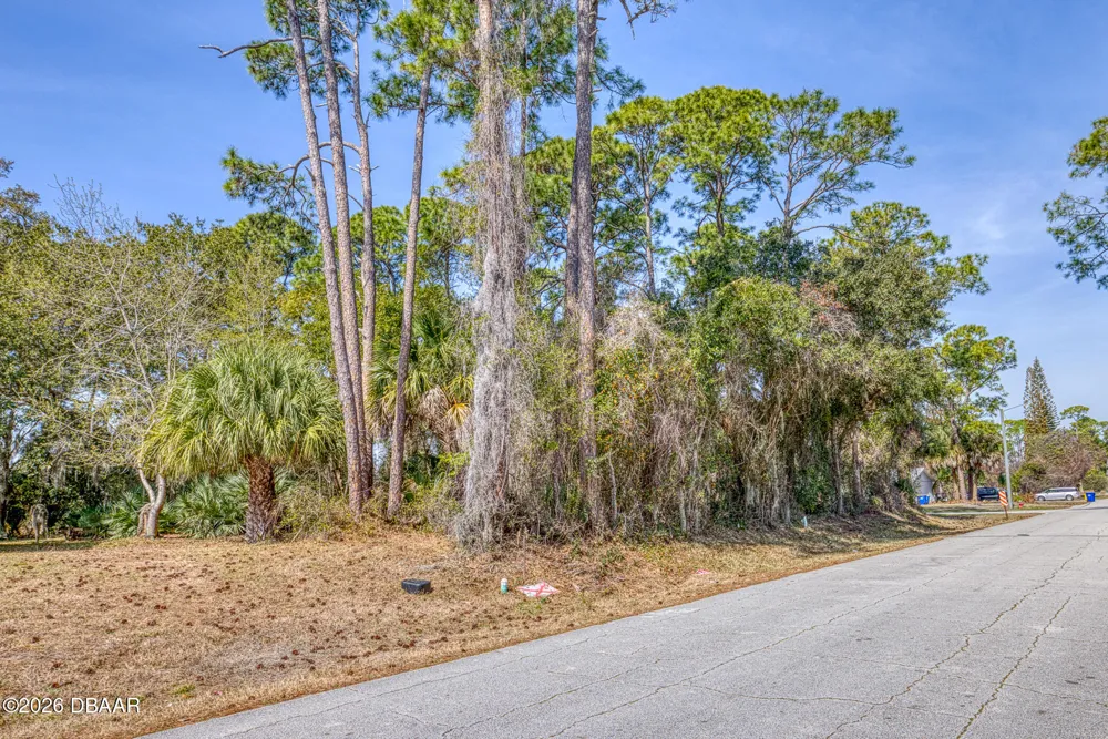 2904 India Palm Drive Edgewater, FL 32141