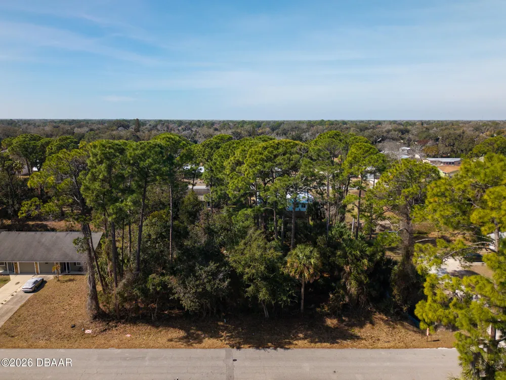 2904 India Palm Drive Edgewater, FL 32141