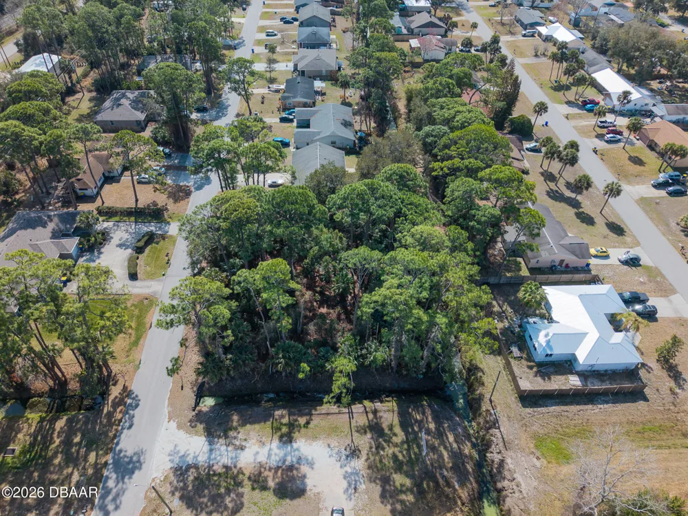 2904 India Palm Drive Edgewater, FL 32141