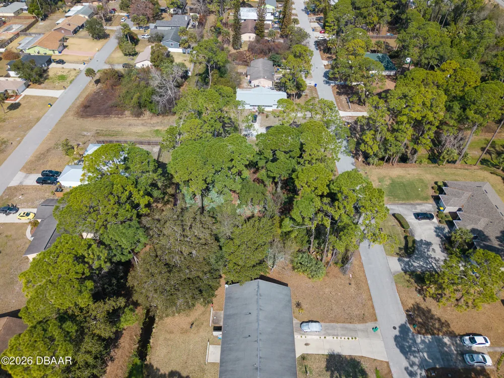 2904 India Palm Drive Edgewater, FL 32141