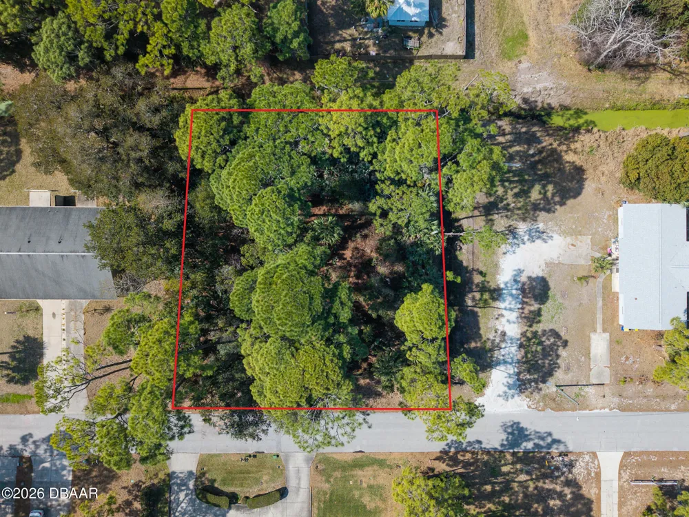 2904 India Palm Drive Edgewater, FL 32141